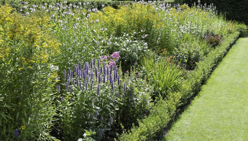 Vegetation and Planting