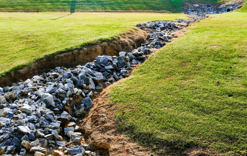 Spring Ditch Restoration