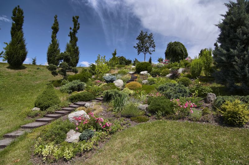 Land Reshaping for Landscaping